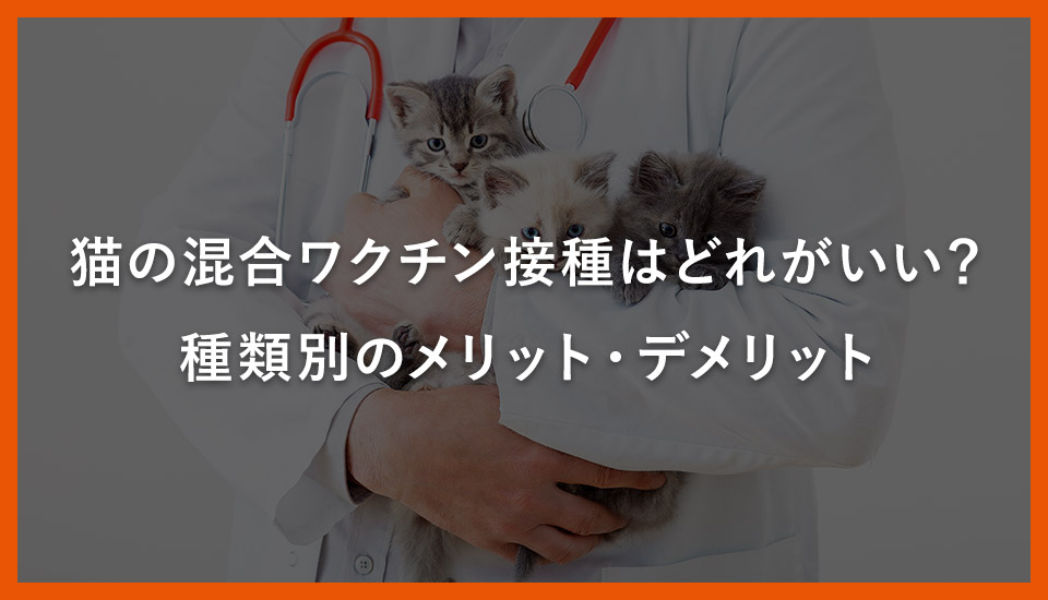 猫の混合ワクチン接種はどれがいい？種類別のメリット・デメリット
