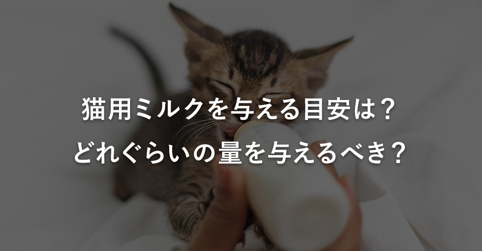 猫用ミルクを与える目安は？どれぐらいの量を与えるべき？