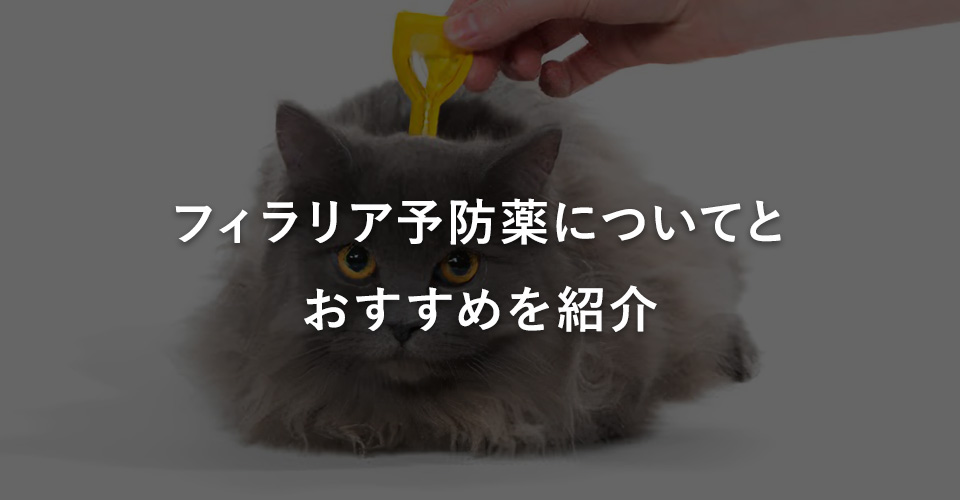 フィラリア予防薬についてとおすすめを紹介