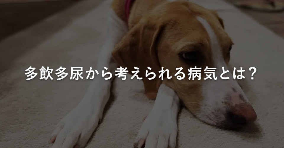 多飲多尿から考えられる病気とは?