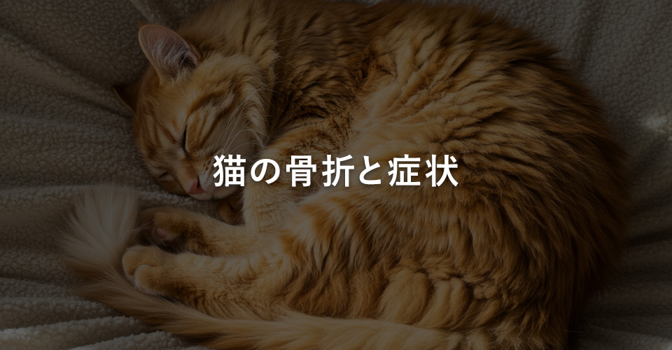 猫の骨折と症状