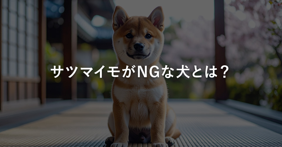サツマイモがNGな犬とは?