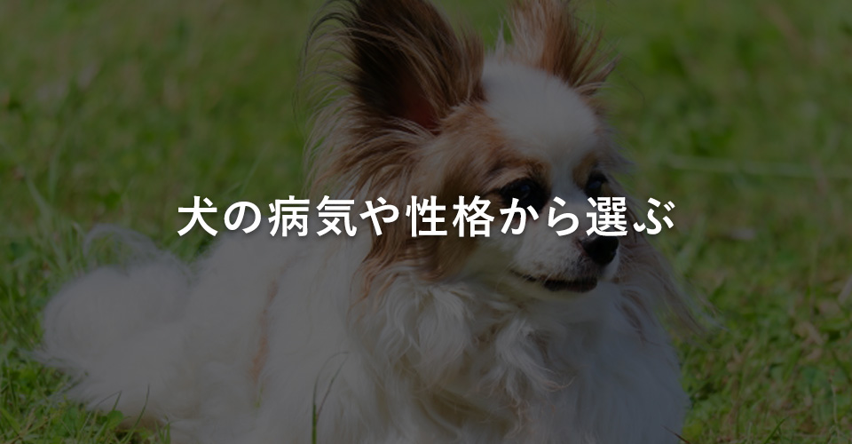 犬の病気や性格から選ぶ