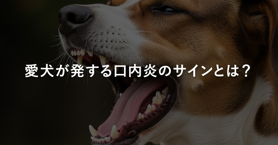 愛犬が発する口内炎のサインとは？