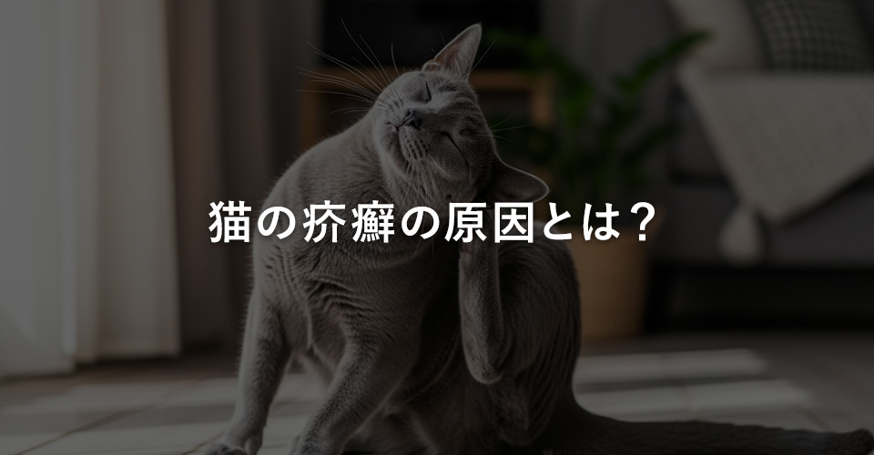 猫の疥癬の原因とは？