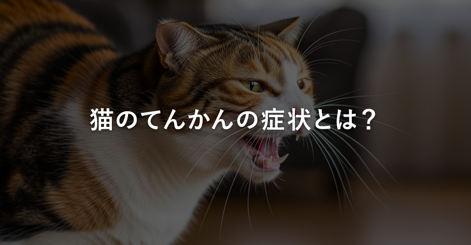 猫のてんかんの症状とは？